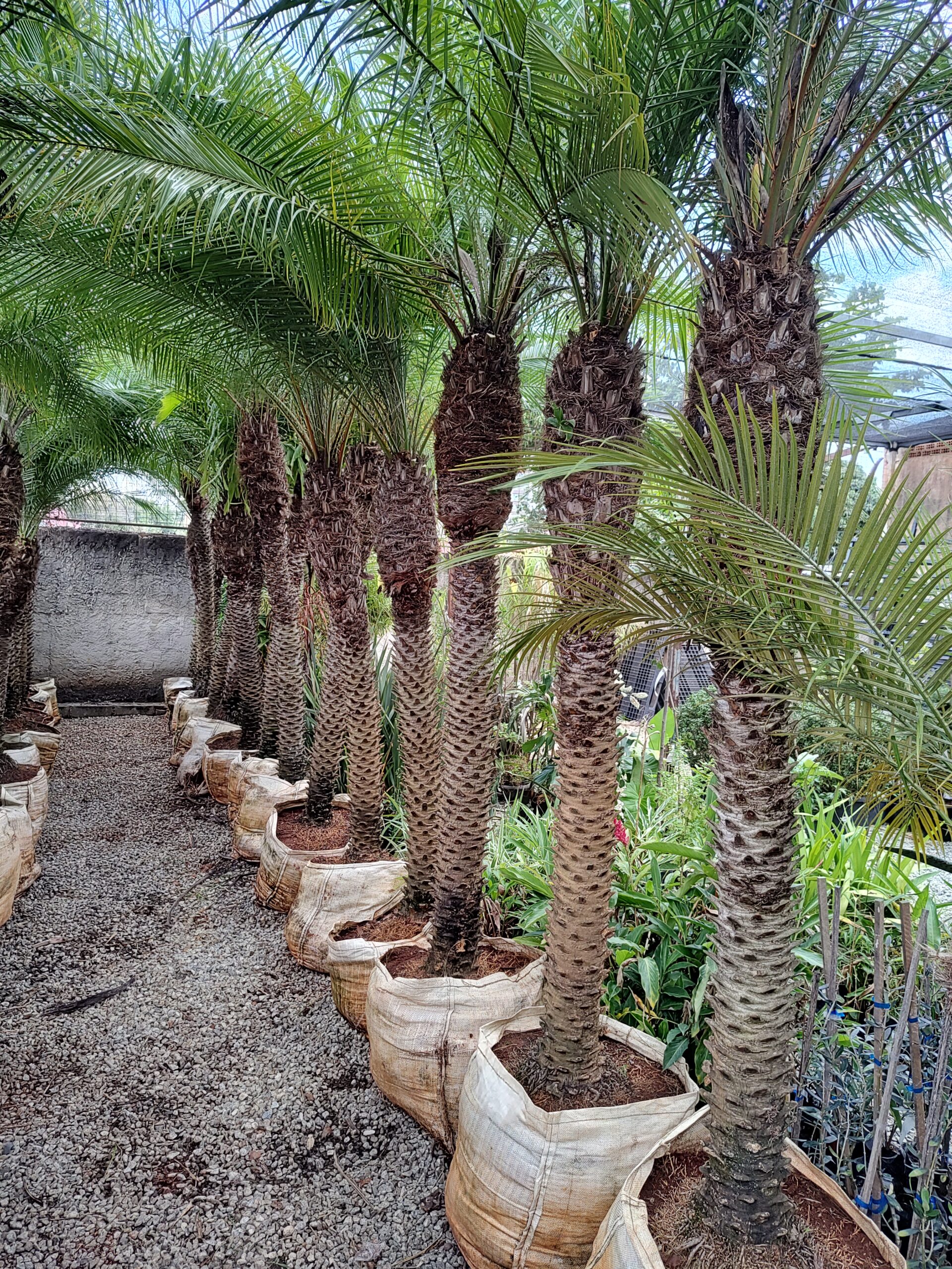 IMG_20250414_161205805_HDR