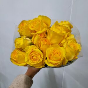 ROSA DEJAVU! 040