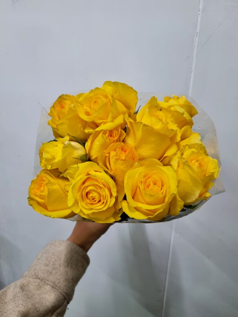 ROSA DEJAVU! 040