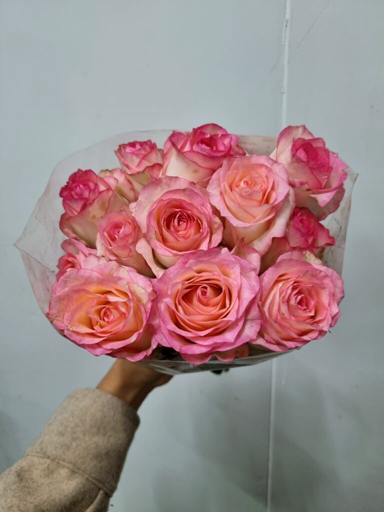 ROSA JUMILA 030
