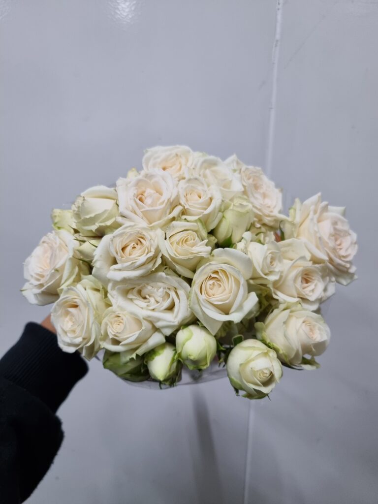 ROSA SPRAY BRANCA