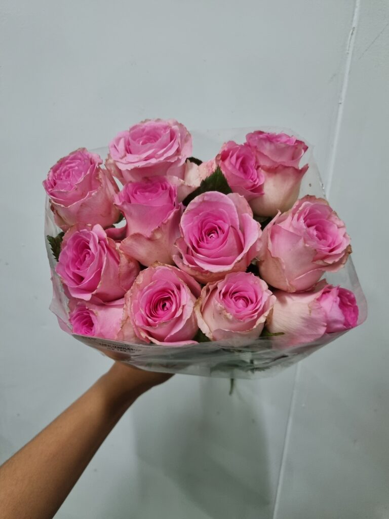 ROSA MANDALA 040