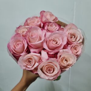 ROSA VANIA 040