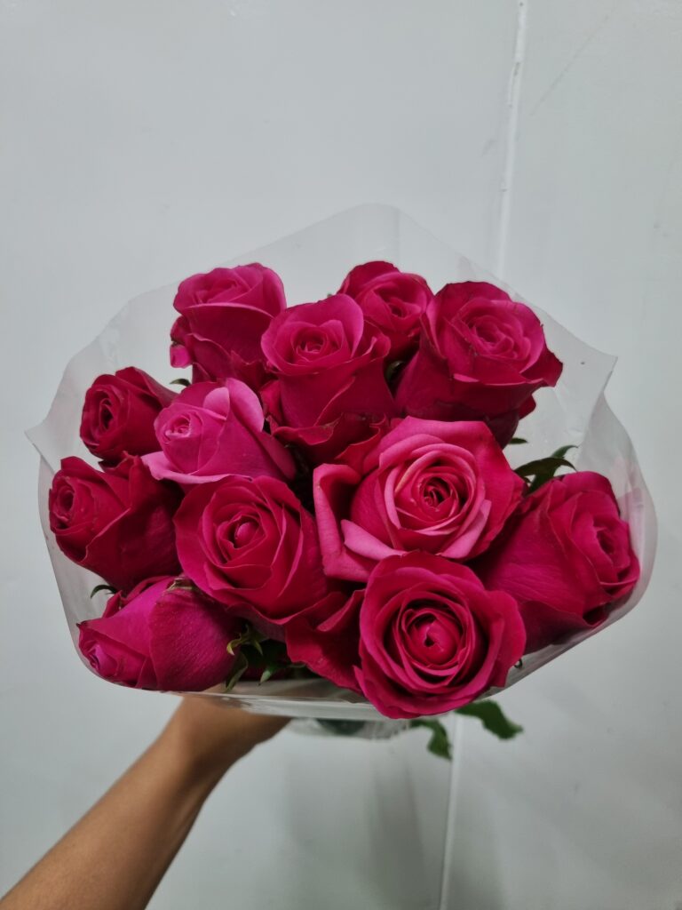 ROSA SOLITAIRE 040