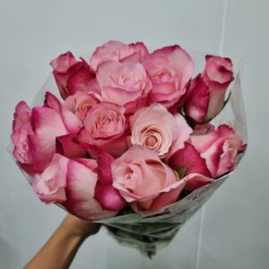 ROSA VARIADA 030