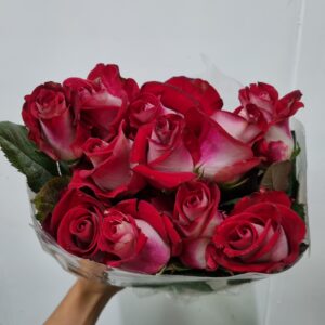 ROSA BLUEZ 040