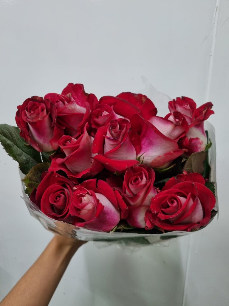 ROSA BLUEZ 040