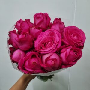 ROSA CHERRY AVALANCHE 040 (PINK)