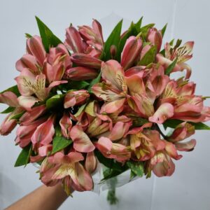 ALSTROEMERIA MILOS