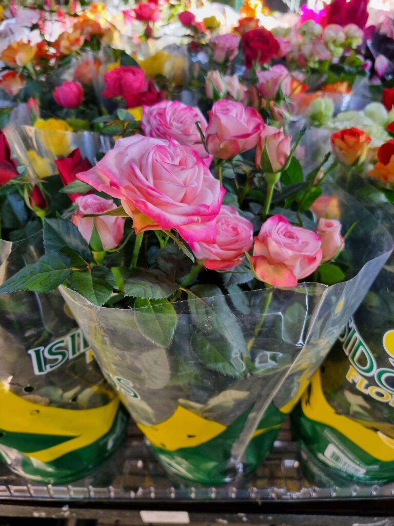VASO ROSA MINI P15