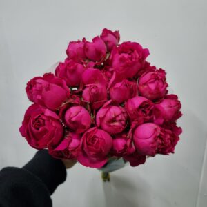 ROSA SPRAY PINK