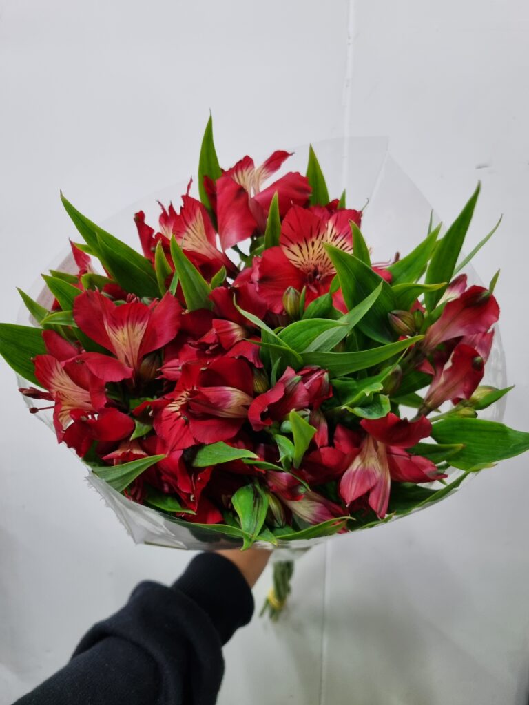 ALSTROEMERIA NATALYA (VERMELHA)