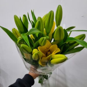 LIRIO AMARELO