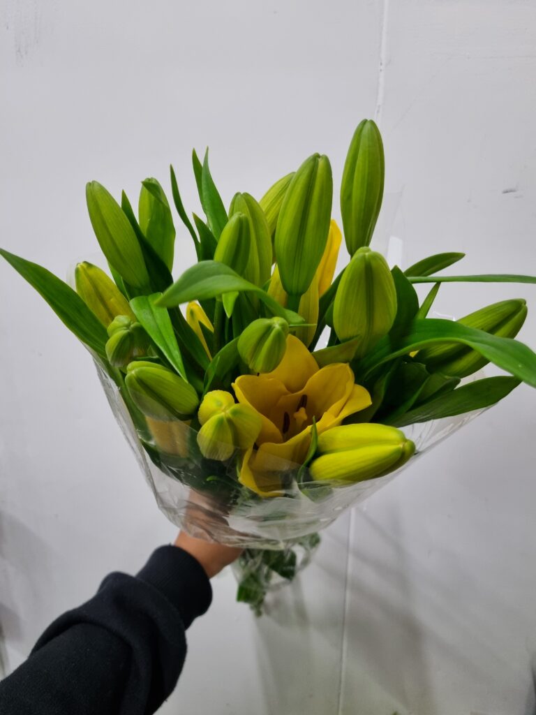 LIRIO AMARELO