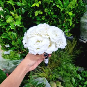 TUBETE LISIANTHUS BRANCO