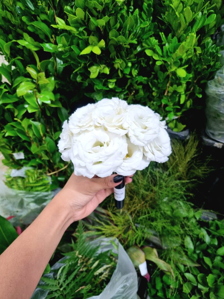 TUBETE LISIANTHUS BRANCO