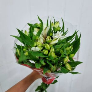 ALSTROEMERIA BRANCA