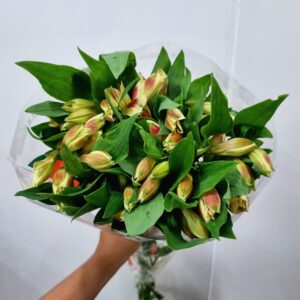 ALSTROEMERIA BALI (AMARELA MESCLADA)