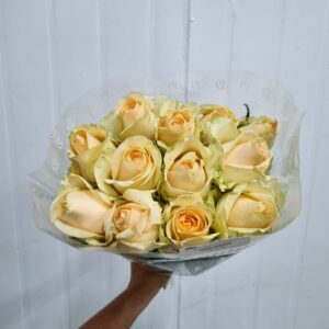 ROSA PEACH AVALANCHE 040