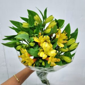 ALSTROEMERIA AMARELA