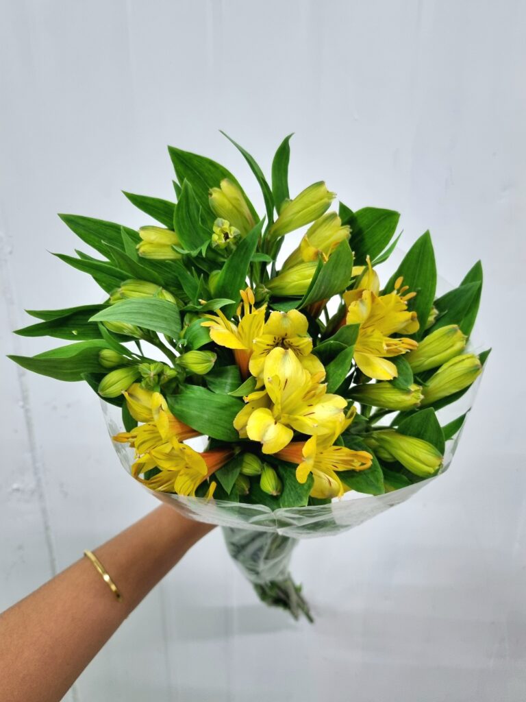 ALSTROEMERIA AMARELA