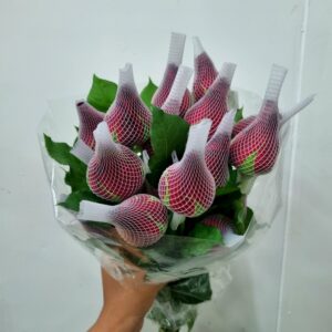 ROSA LOVELY RED 040