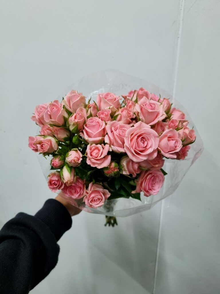 ROSA SPRAY ROSA CLARO