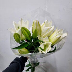LIRIO CASABLANCA (BRANCO)