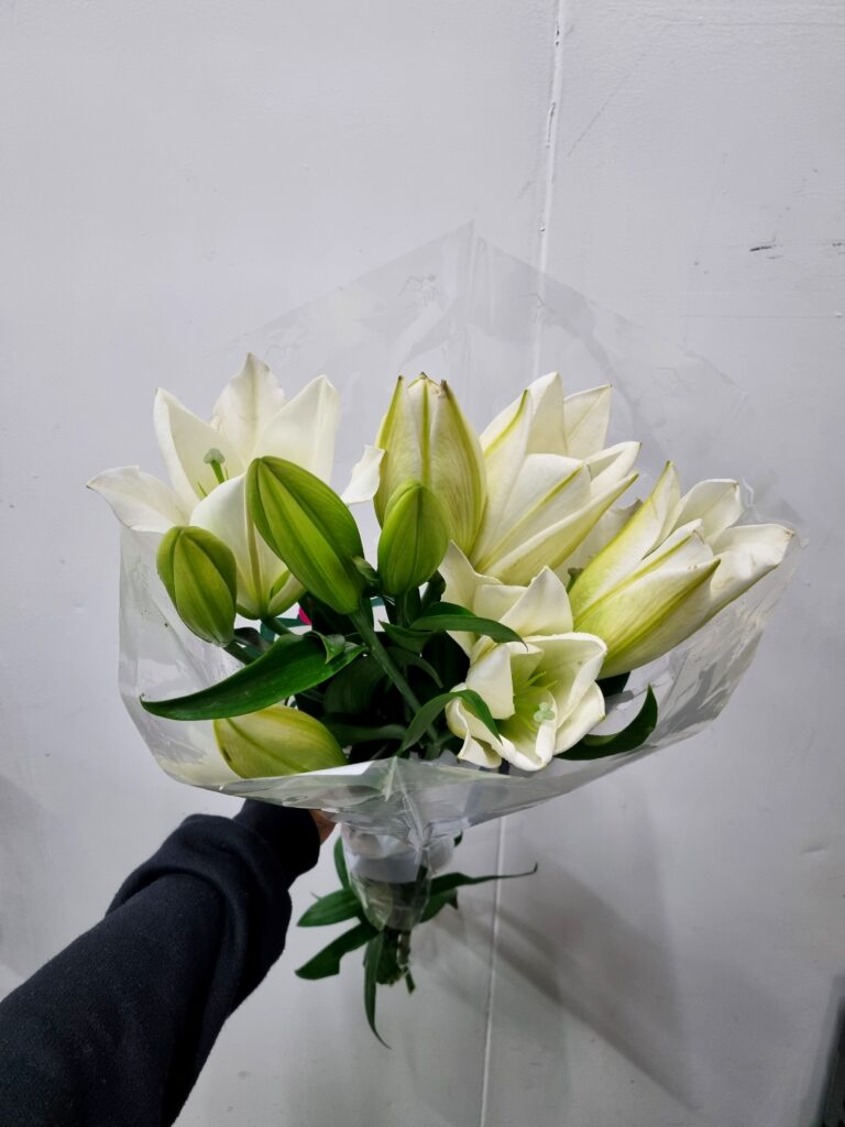 LIRIO CASABLANCA (BRANCO)
