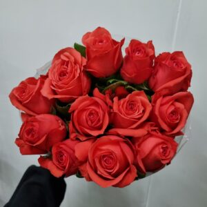 ROSA ROCKSTAR 050