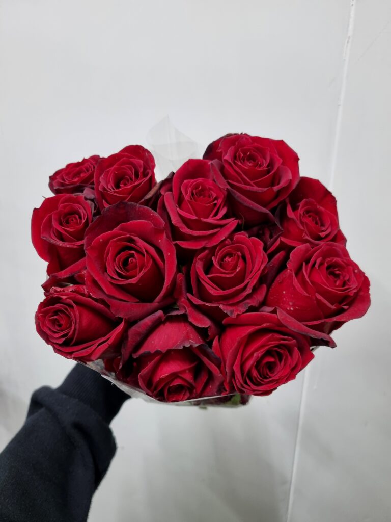 ROSA SAMOURAI 040