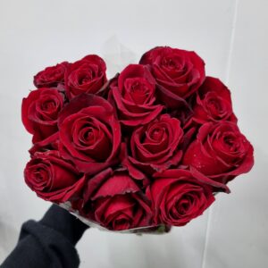 ROSA SAMOURAI 050