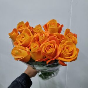 ROSA VOODOO 040