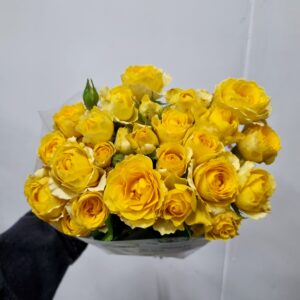 ROSA SPRAY AMARELA