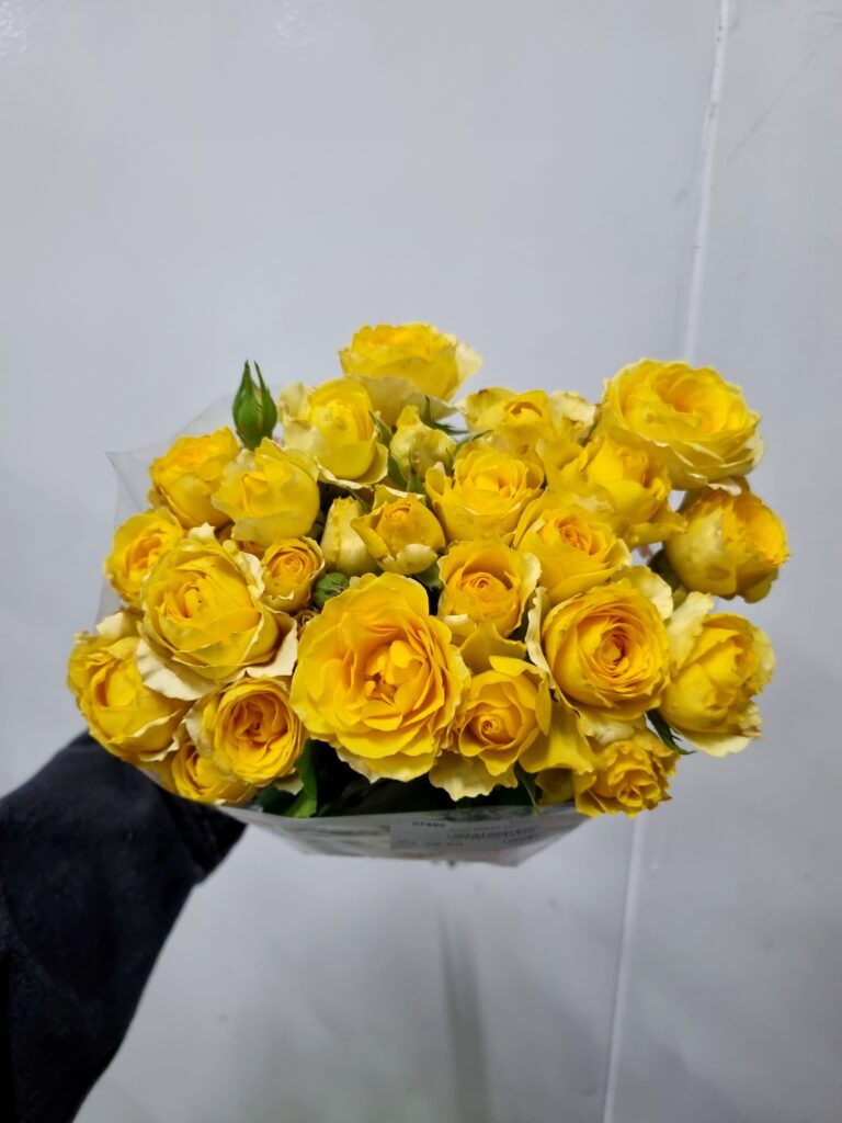ROSA SPRAY AMARELA