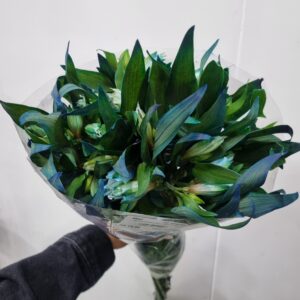 ALSTROEMERIA AZUL (TINTURADA)