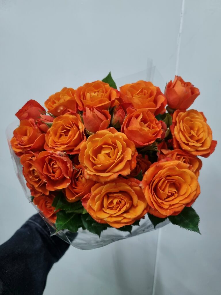 ROSA SPRAY LARANJA