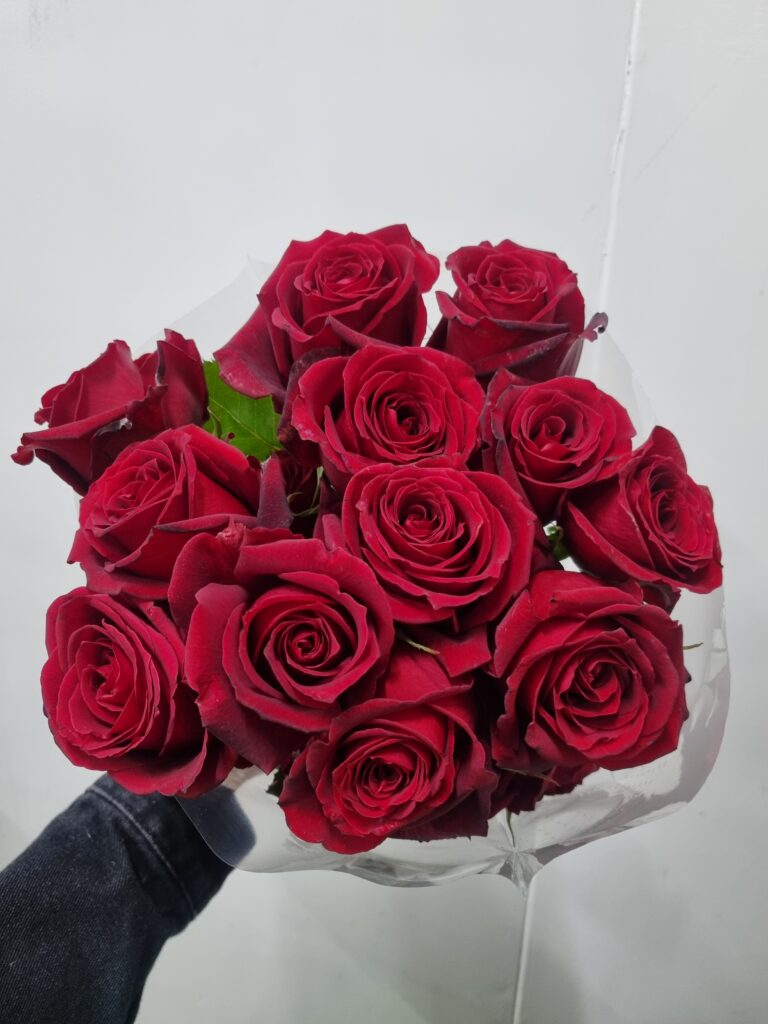 ROSA IPANEMA 050