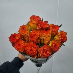 ROSA HIGH MAGIC 040