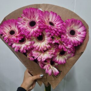 GERBERA MANDALA