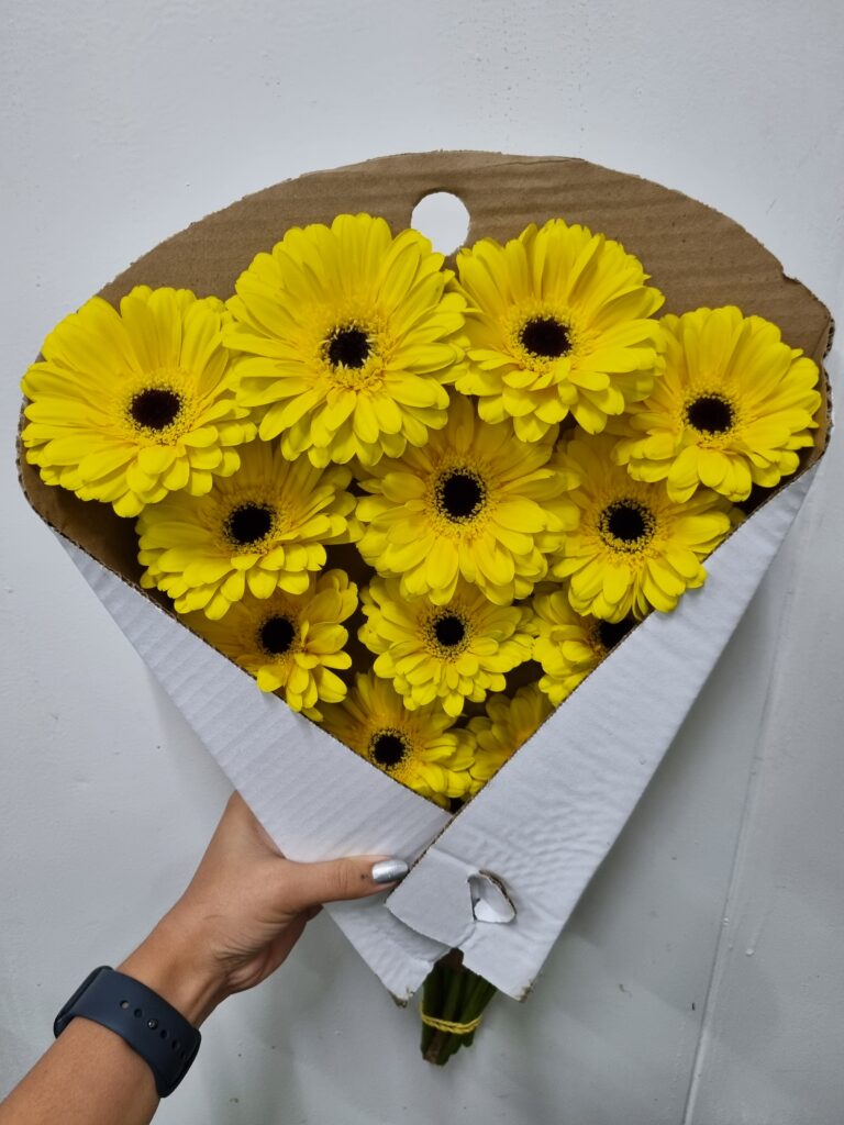 GERBERA AMULETE (AMARELA ME)