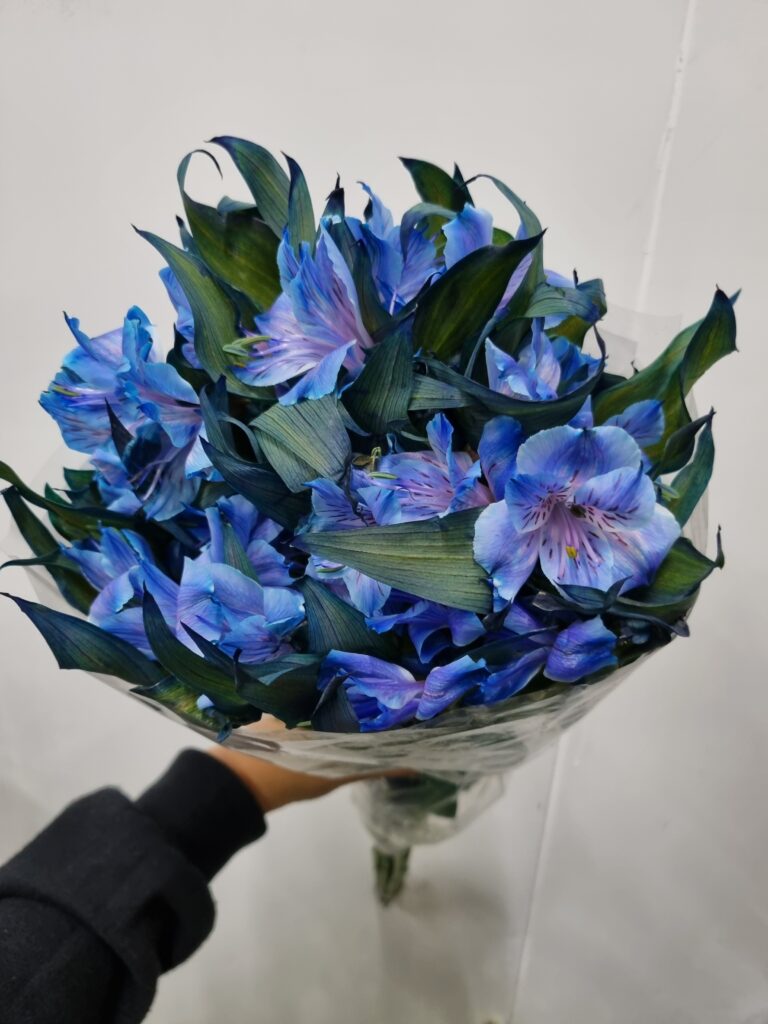 ALSTROEMERIA AZUL (TINTURADA)
