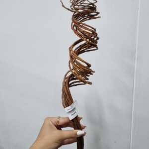 VIME ROCOCO P
