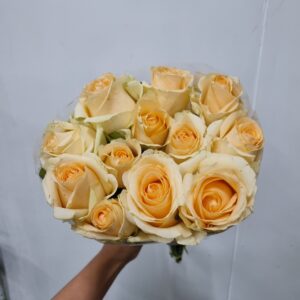 ROSA PEACH AVALANCHE 050