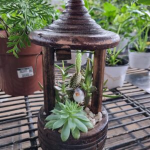 VASO COQUETEL SUCULENTA POÇO P