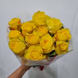 ROSA GOLDEN TOWER 040