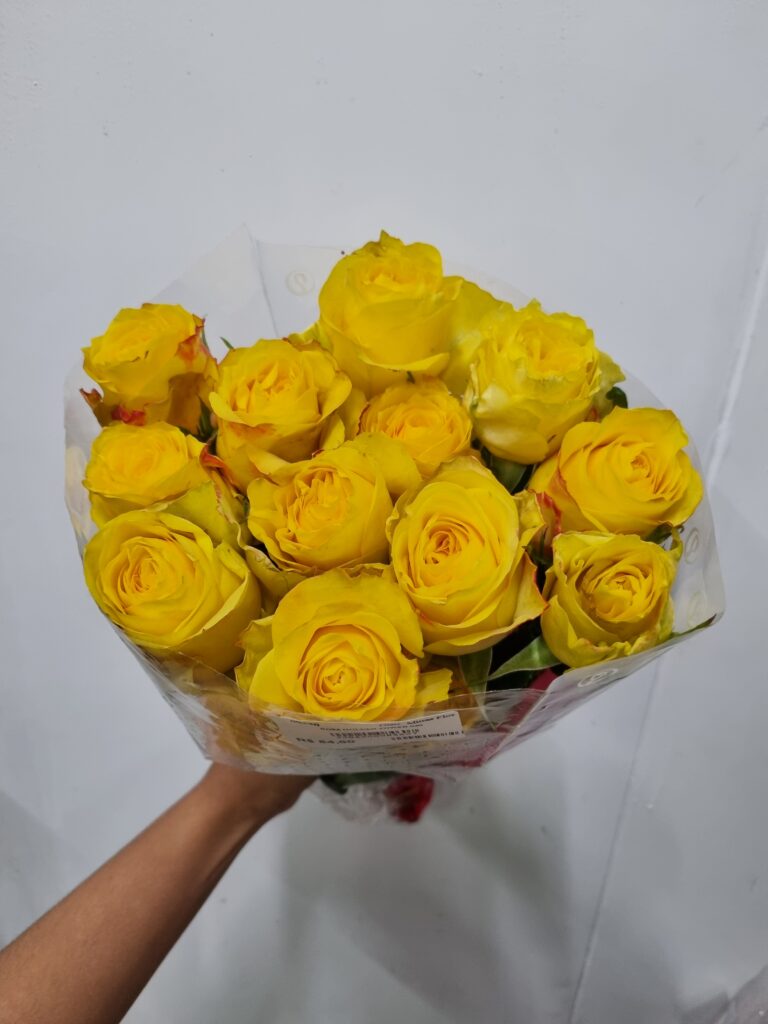 ROSA GOLDEN TOWER 040